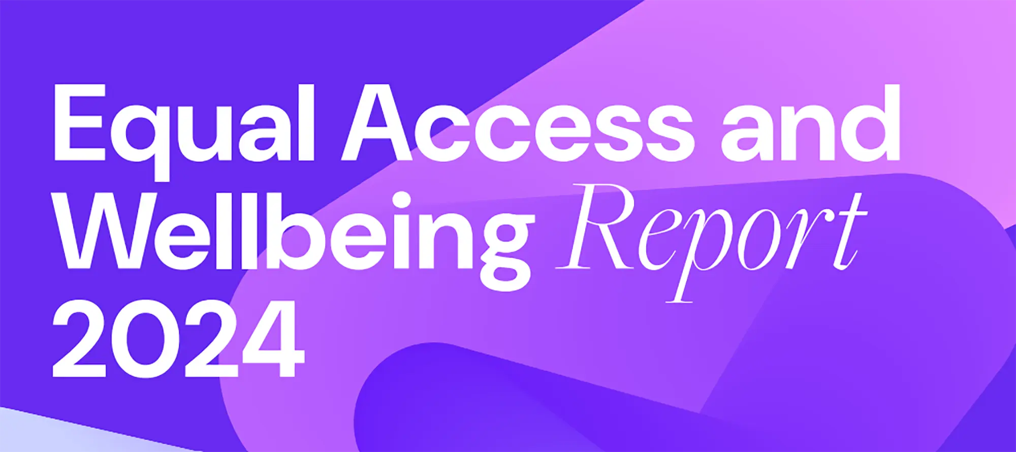 Featured image for “Report on Equal Access and Wellbeing 2024”